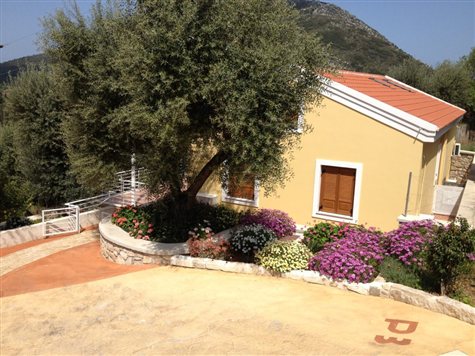 Olive Grove Apartments